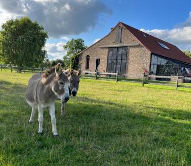 Dranouter Villa | Vakantiewoning - Ter Douve