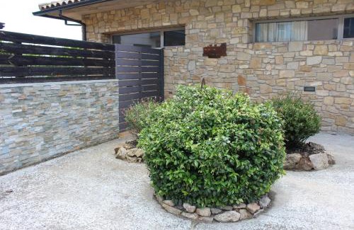 Tartareu Apartment | Vall Farfanya