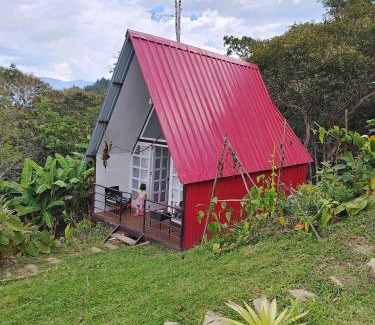 Cuispes Other | Valle Yumbilla Yacu