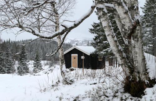 Brønnøy House | Velfjord Camping & Hytter