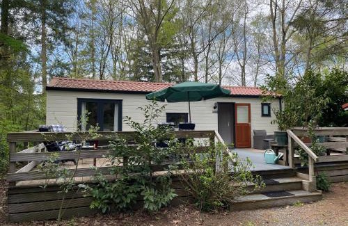 Municipality of Epe Ski Chalet | Veluwe Vibes