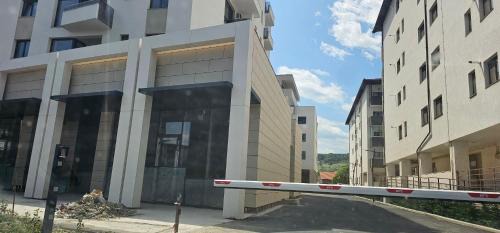 Ramnicu Valcea Apartment | Vera Home 3