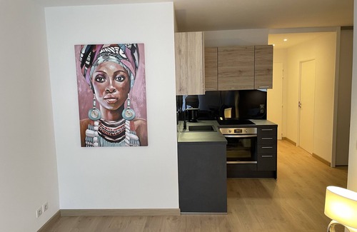 Divonne-les-Bains Apartment | Very attractive, fully-furnished, luxury T2 apartment 5 minutes' walk from the center.