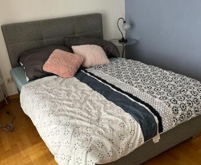 Lengsdorf Apartment | Very nice, Central and fully Furnished Apartment