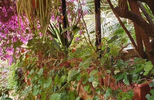 Solanas Bed & Breakfast | via dei gerani