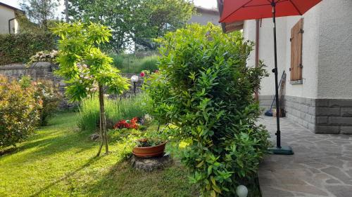 Chiusi della Verna Apartment | Via del Fusato 13 Casa Carla