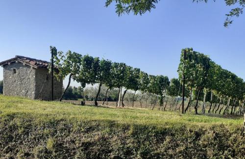 Paderno Franciacorta Bed & Breakfast | Vicolo Del Nido B&B