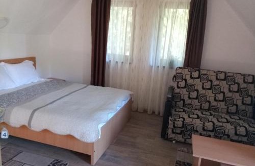 Voineasa House | Vidra Parc