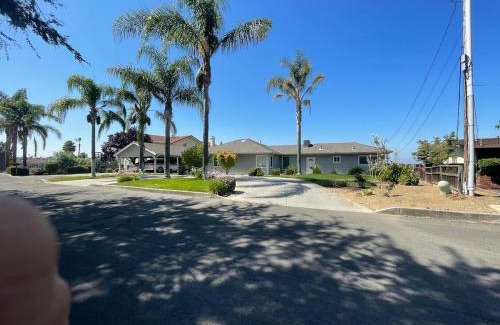 East San Jose Apartment | Views on the Hill