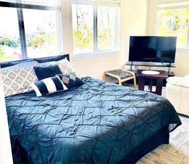 East San Jose Apartment | Views on the Hill