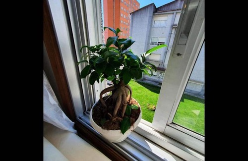 Teis Apartment | Vigo Apartment Near the Beach