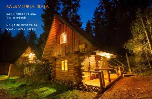 Saula House | Viikingite küla