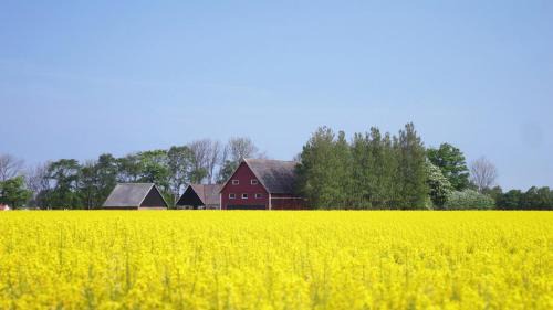 Viken Bed & Breakfast | Vikens bed and Breakfast