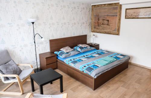 Luhacovice Apartment | Vila Alice