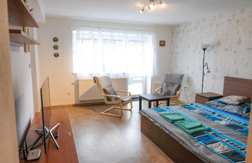 Luhacovice Apartment | Vila Alice