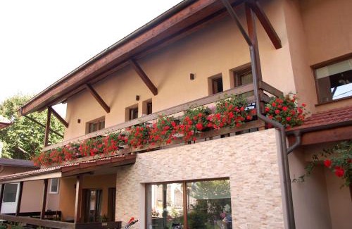 Baile Olanesti House | Vila Andrei