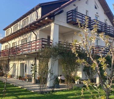Breaza de Jos Bed & Breakfast | Vila Carpatina
