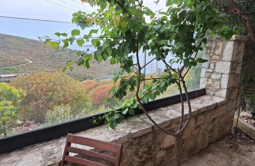 Tirana Hotel | Vila D Boutique Hotel
