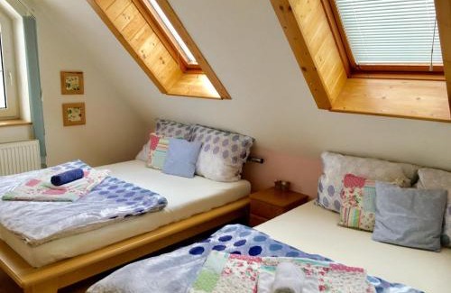 Trebon Apartment | Vila EVIO Třeboň