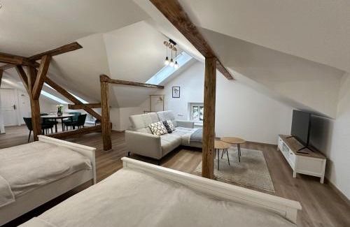 Ceske Budejovice Apartment | Vila Fráňa apartmán 3