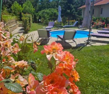 Slivek House | Vila Lotos