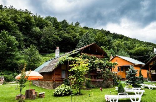 Bosorod House | Vila Sara