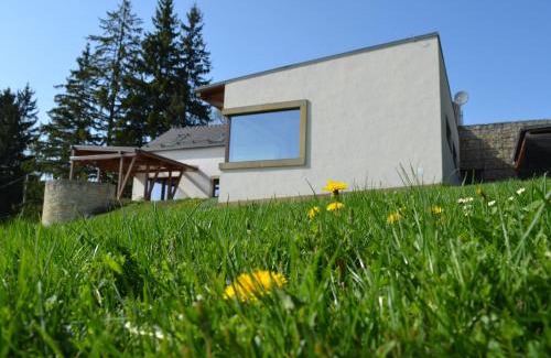 Stasov Villa | Vila Stašov