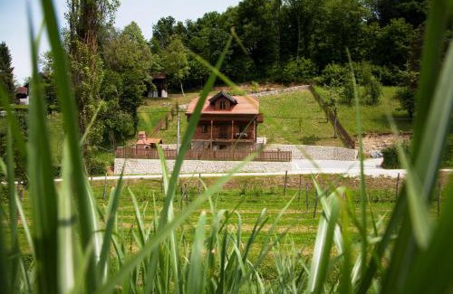 Tuhelj Villa | Vila Trnoružica