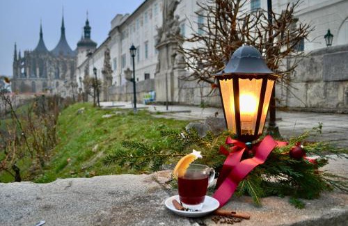 Kutna Hora Hotel | Vila U Varhanáře