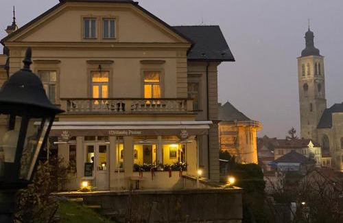 Kutna Hora Hotel | Vila U Varhanáře