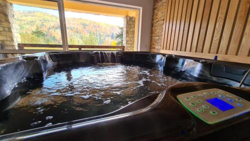Slanic-Moldova Villa | Vila Zen
