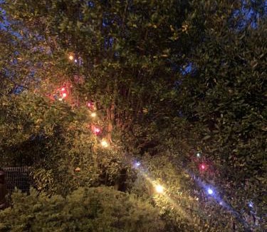 Villenave-d'Ornon Bed & Breakfast | Villa 37
