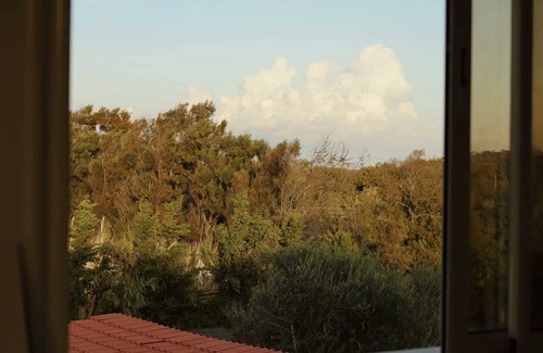 Ras Jebel Villa | Villa au milieu de la foret de Ras Jebel et a 300 mètres de la plage Swisri