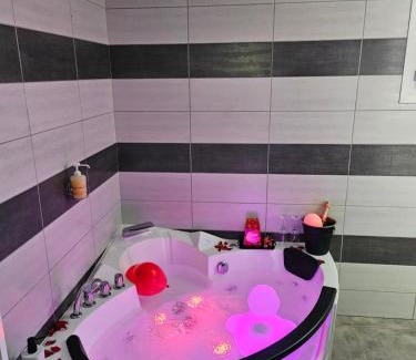 Cornebarrieu Apartment | Villa avec baignoire balnéo véranda & jardin