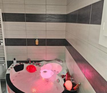 Cornebarrieu Apartment | Villa avec baignoire balnéo véranda & jardin