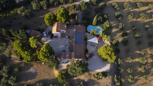 Paceco Villa | Villa Bella Vista
