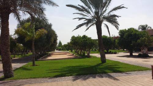 Issen Villa | Villa Catalpas