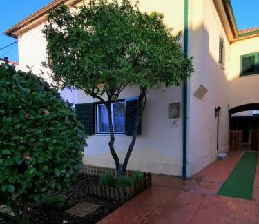 Santo Antonio dos Olivais Villa | Villa Coimbra - Casa Inteira
