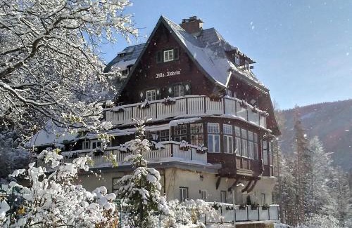 Semmering Apartment | Villa Daheim Semmering