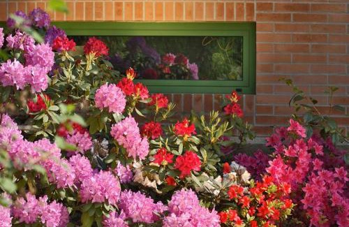 Tavagnacco Bed & Breakfast | Villa delle Ortensie