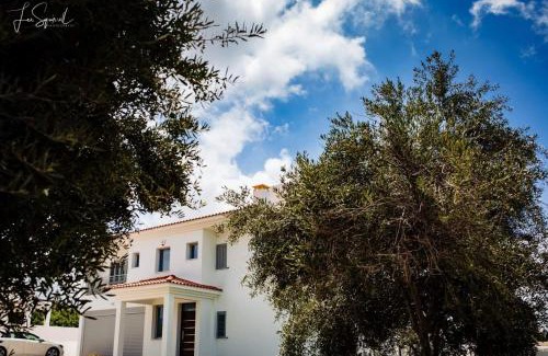 Kissonerga Villa | Villa Despoina