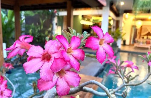 Gerokgak Villa | Villa Dewi Parwati - Private Villa with Pool - North Bali - private cook