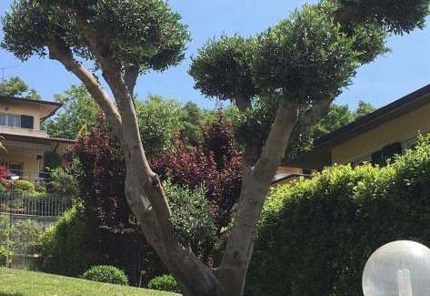 Pozzolengo Villa | Villa Elisa Relax