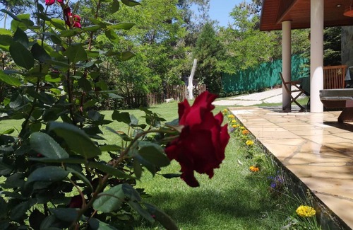 Platres Villa | VILLa ENRIETTe - Panoramic Mountain Retreat in Pano Platres, Cyprus