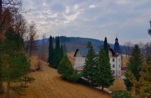 Lipova-Lazne Hotel | Villa Grohmann