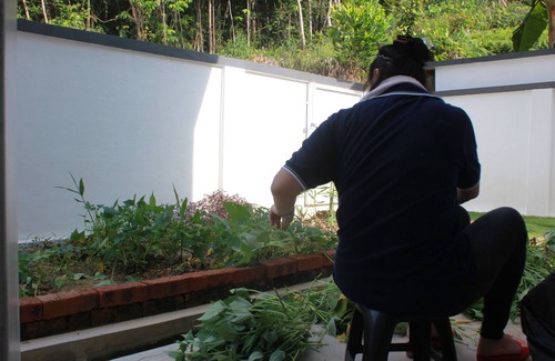 Bentong House | Villa, Hot & Cold water supply, durian, palm garden park, waterfall, hot spring