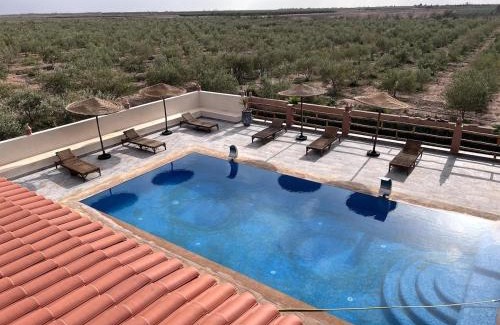 Gmassa Villa | Villa in an Organic Olive Farm