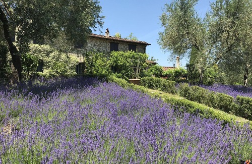 Villabuona Villa | Villa in Santo Stefano with 5 bedrooms sleeps 10