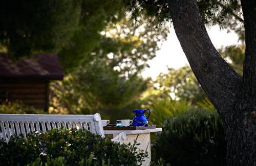 Agios Emilianos Villa | Villa Irini
