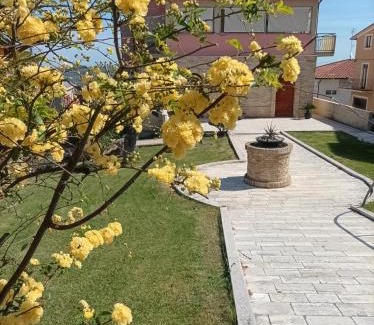 Cupello Bed & Breakfast | Villa Istonia